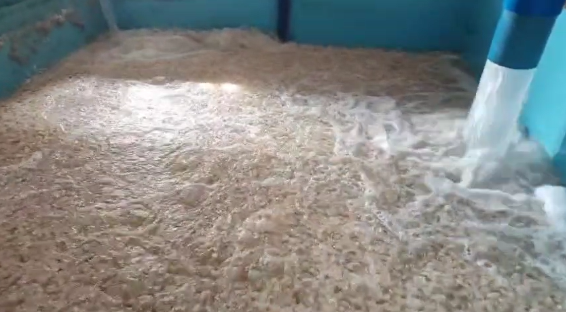 Synergie mezi procesem biofilmu a médiem MBBR – zlatá kombinace pro čištění odpadních vod